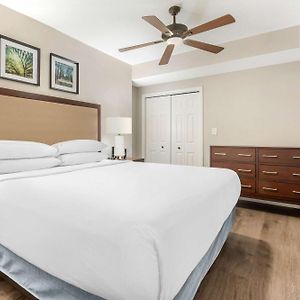 One-Bedroom King Suite Sofa Bed Ocean Front
